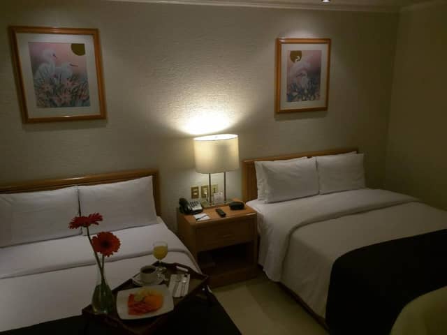Hotel PF — photo 5