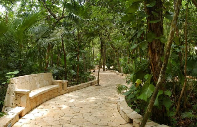 Catalonia Royal Tulum Beach & Spa Resort Adults Only - All Inclusive — photo 4