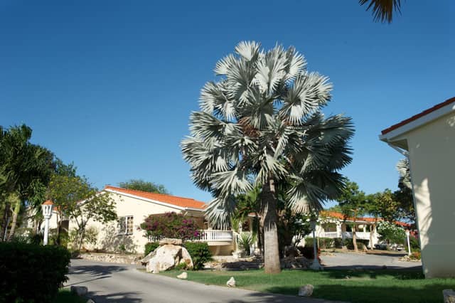 Sonesta Hotels & Resorts Livingstone Curacao — photo 5