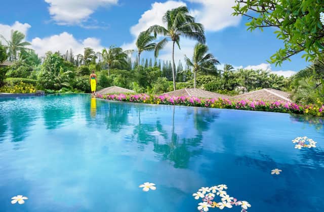 The Resort at Kapalua Bay, Maui — photo 3
