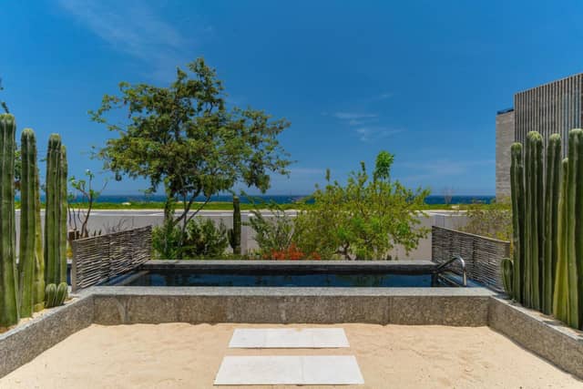 Solaz, a Luxury Collection Resort, Los Cabos — photo 4