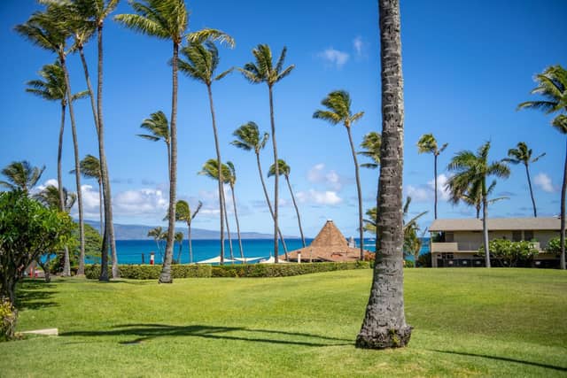 Napili Shores Maui by OUTRIGGER - No Resort & Housekeeping Fees — photo 4