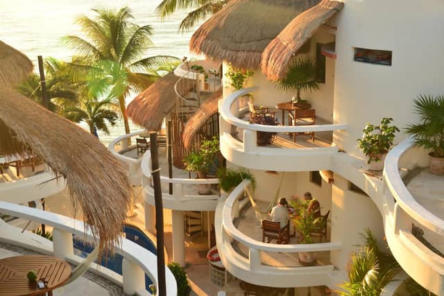 Playa Palms Beach Hotel — photo 5